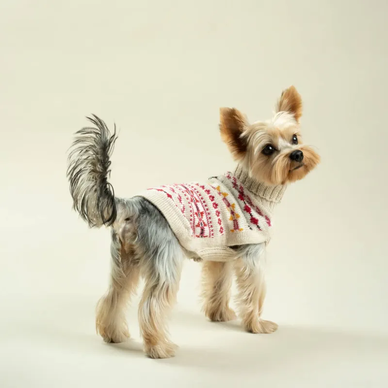 Alqo Wasi Aurora Dog Jumper