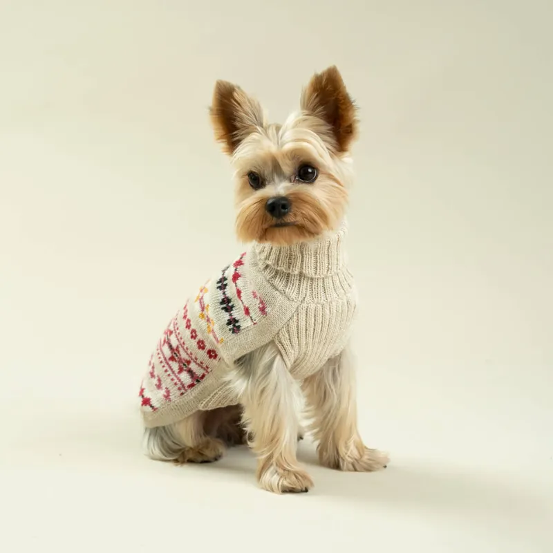 Alqo Wasi Aurora Dog Jumper