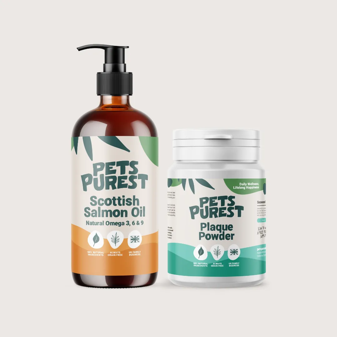 Best Sellers Supplement Bundle (Regular)