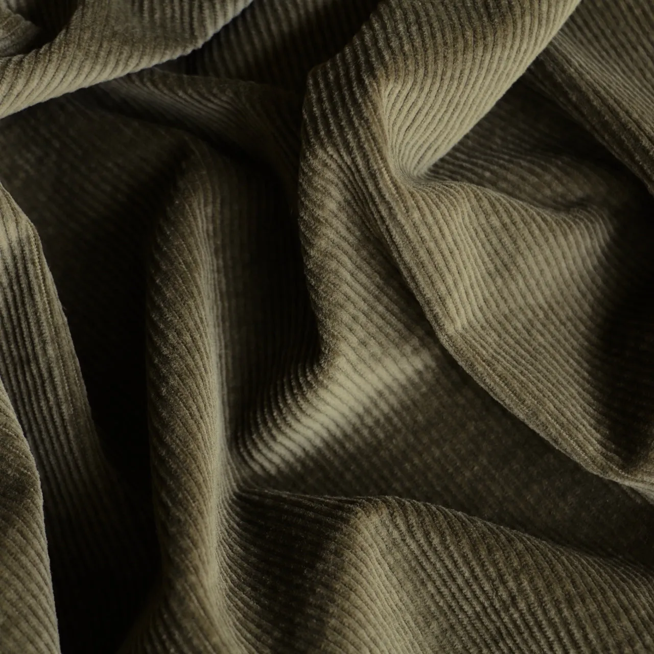 Corded Olive - Stretch Corduroy