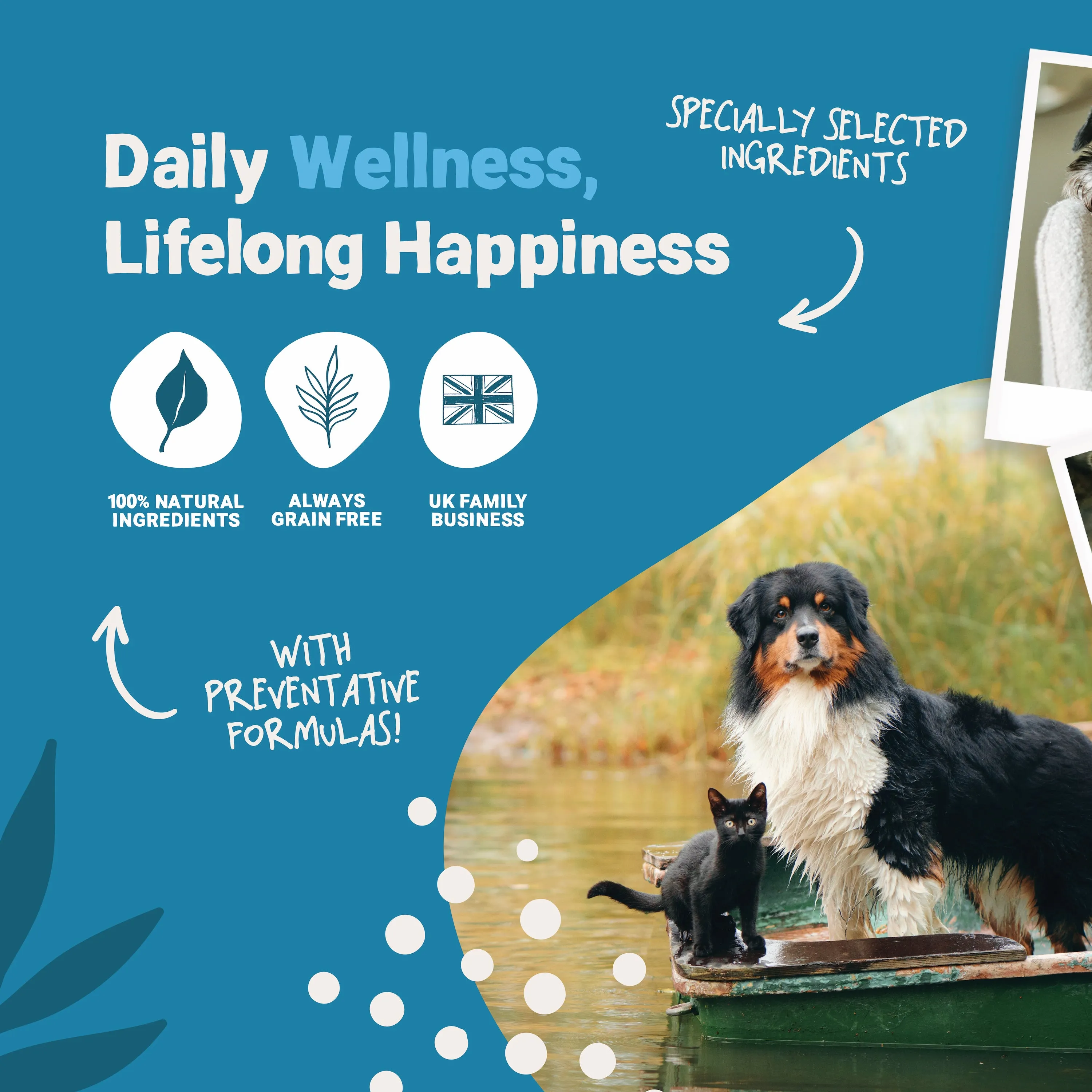 Daily Calming Supplement 300ml
