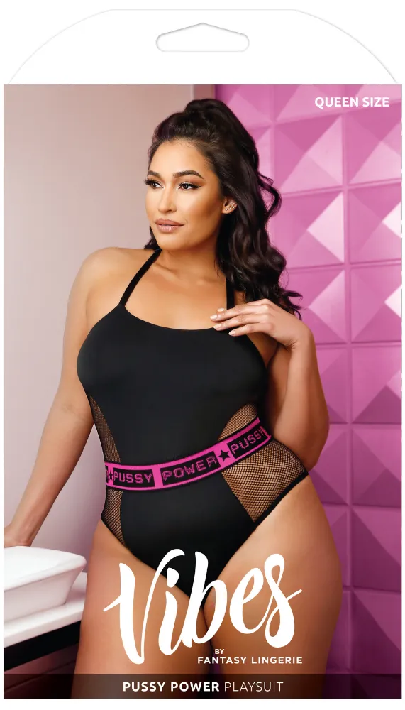 Fantasy Lingerie Pussy Power Mesh Paneled Playsuit