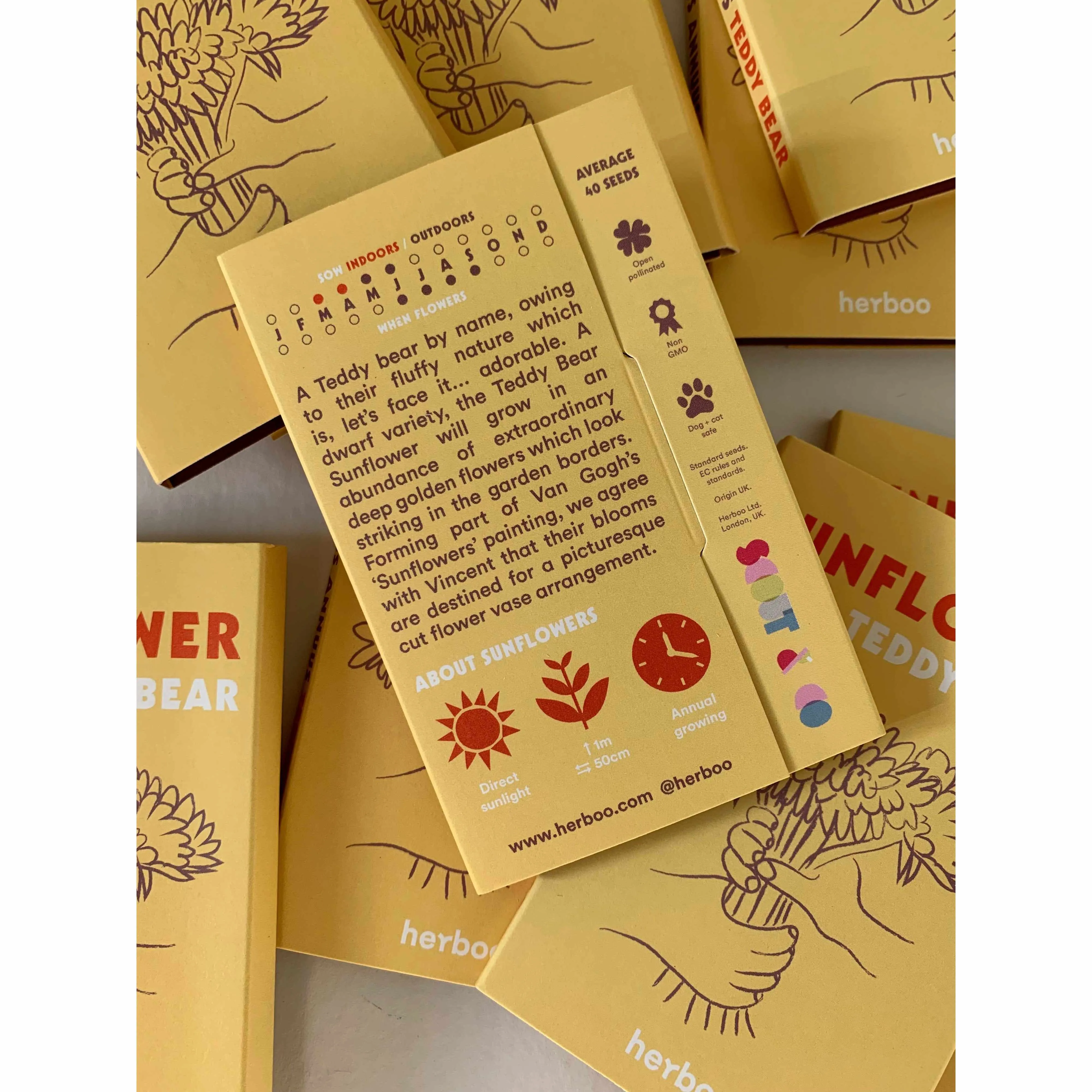 Herboo x Scout & Co exclusive - Sunflower 'Teddy Bear' seeds