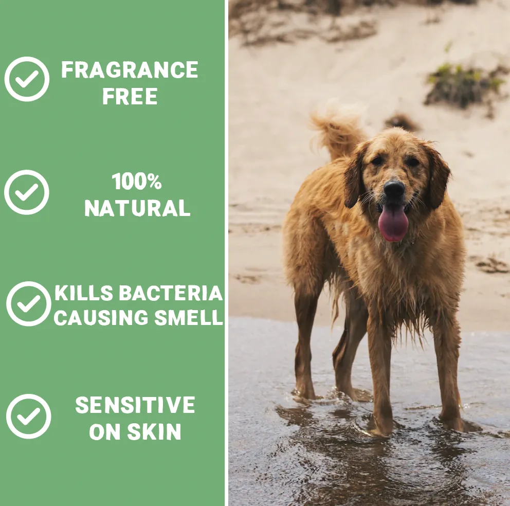 Natural Wet Dog Spray