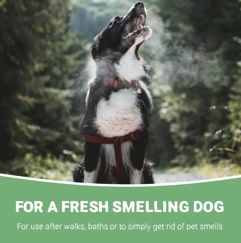 Natural Wet Dog Spray