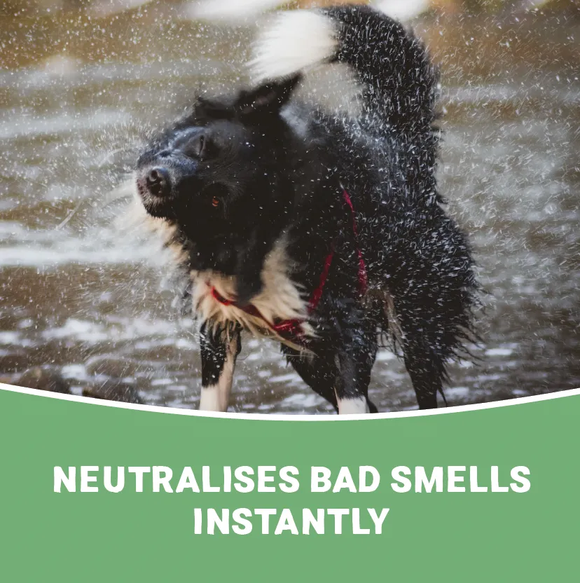 Natural Wet Dog Spray
