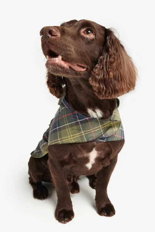 Packable Dog Coat