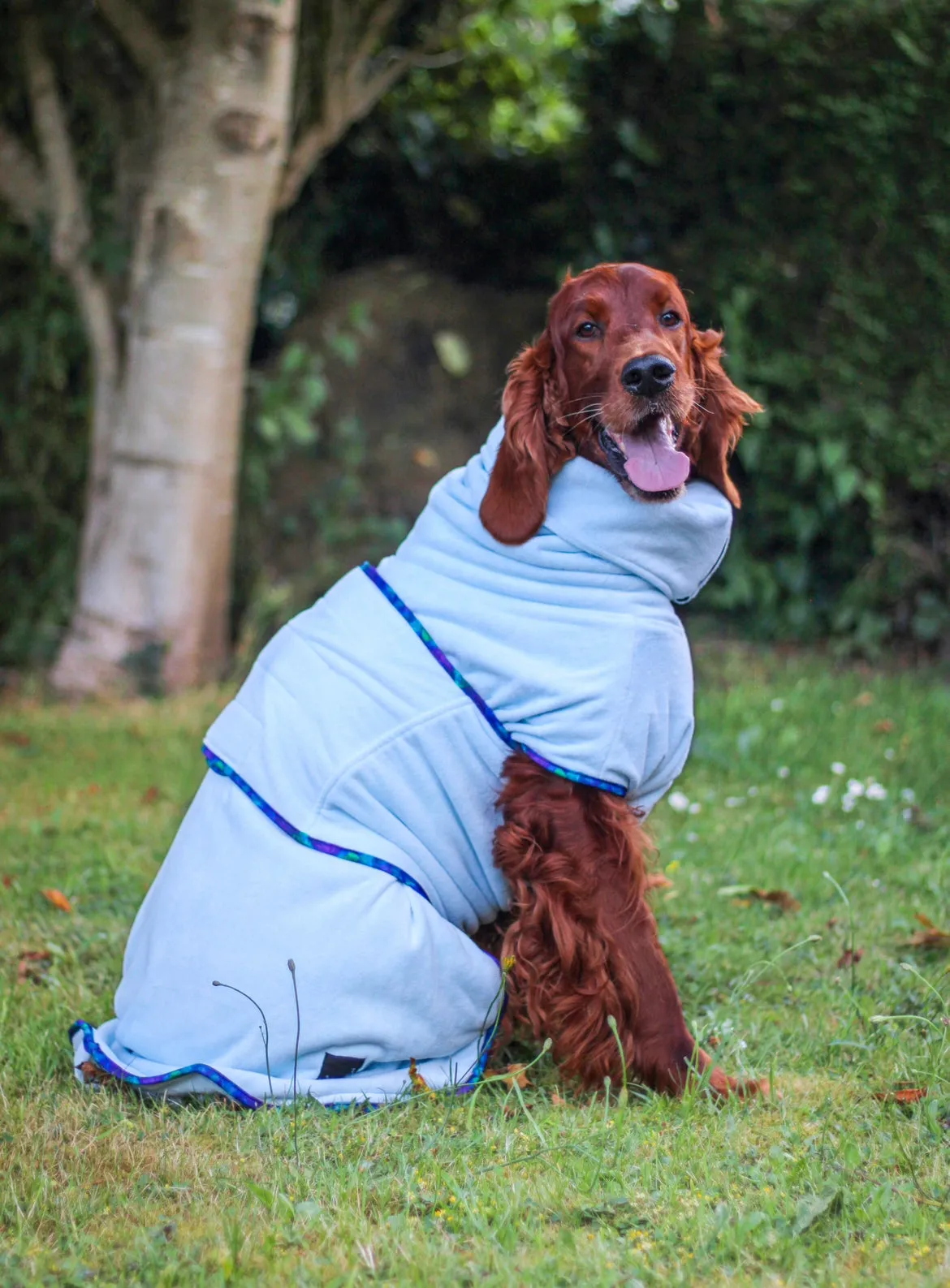 Pathfinder Dog Microfibre Drying Coat - Ice Blue with Marble Trim