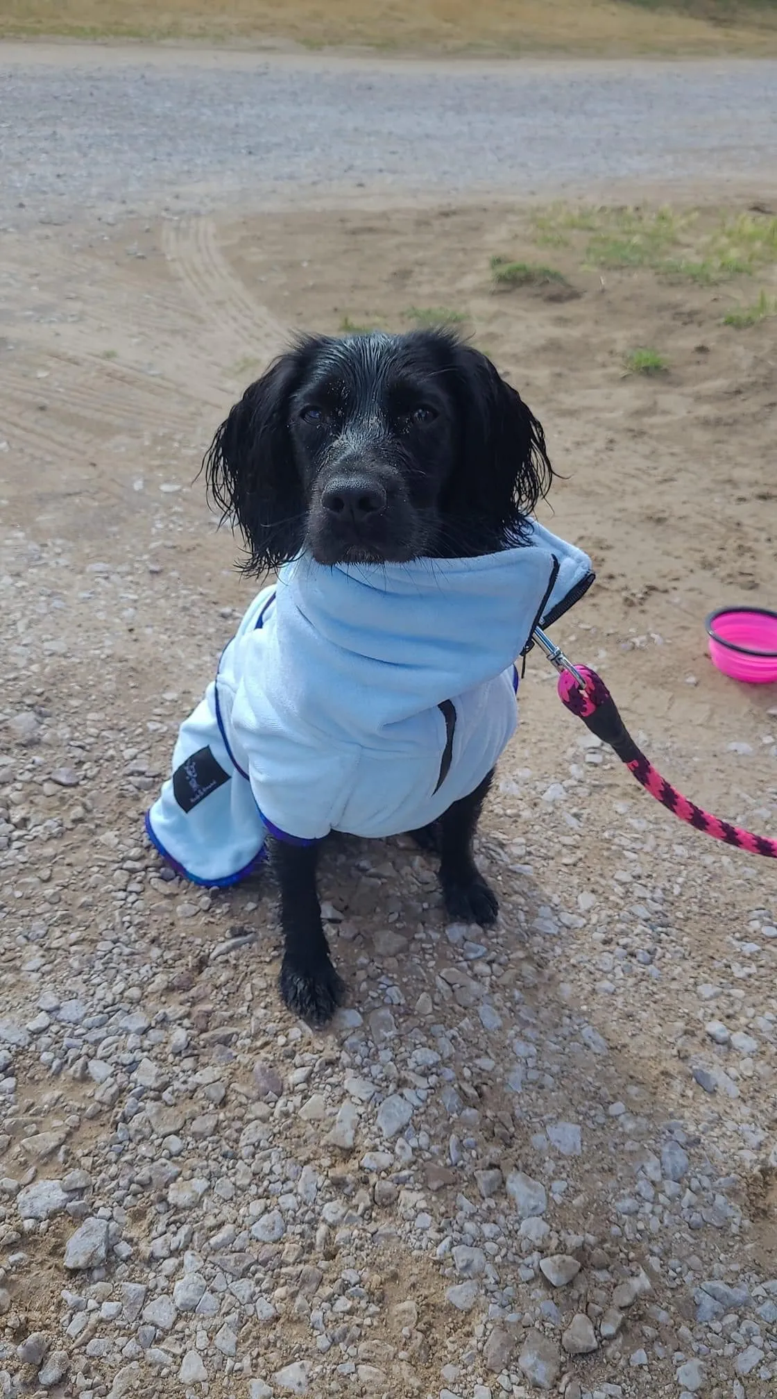 Pathfinder Dog Microfibre Drying Coat - Ice Blue with Marble Trim