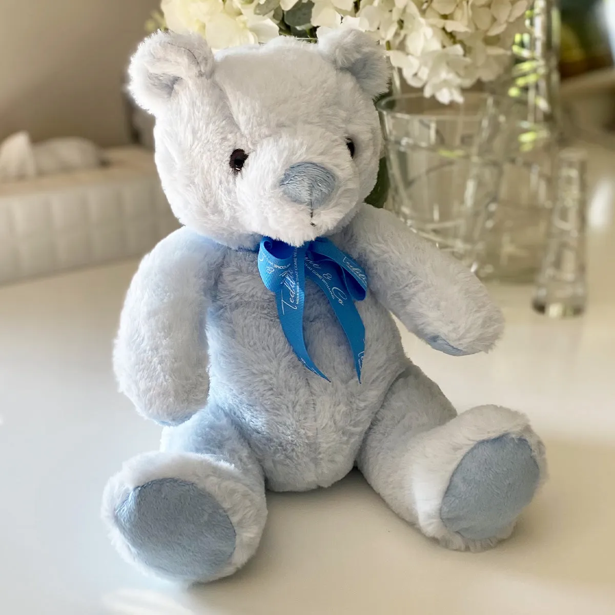 Record-A-Voice Blue Teddy Bear