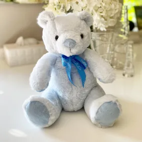 Record-A-Voice Blue Teddy Bear
