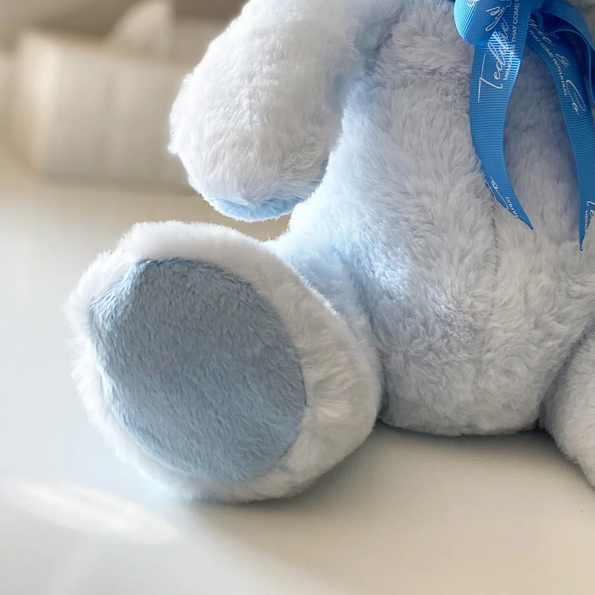 Record-A-Voice Blue Teddy Bear
