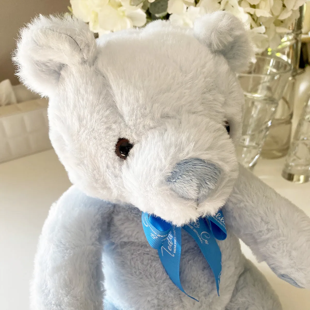 Record-A-Voice Blue Teddy Bear