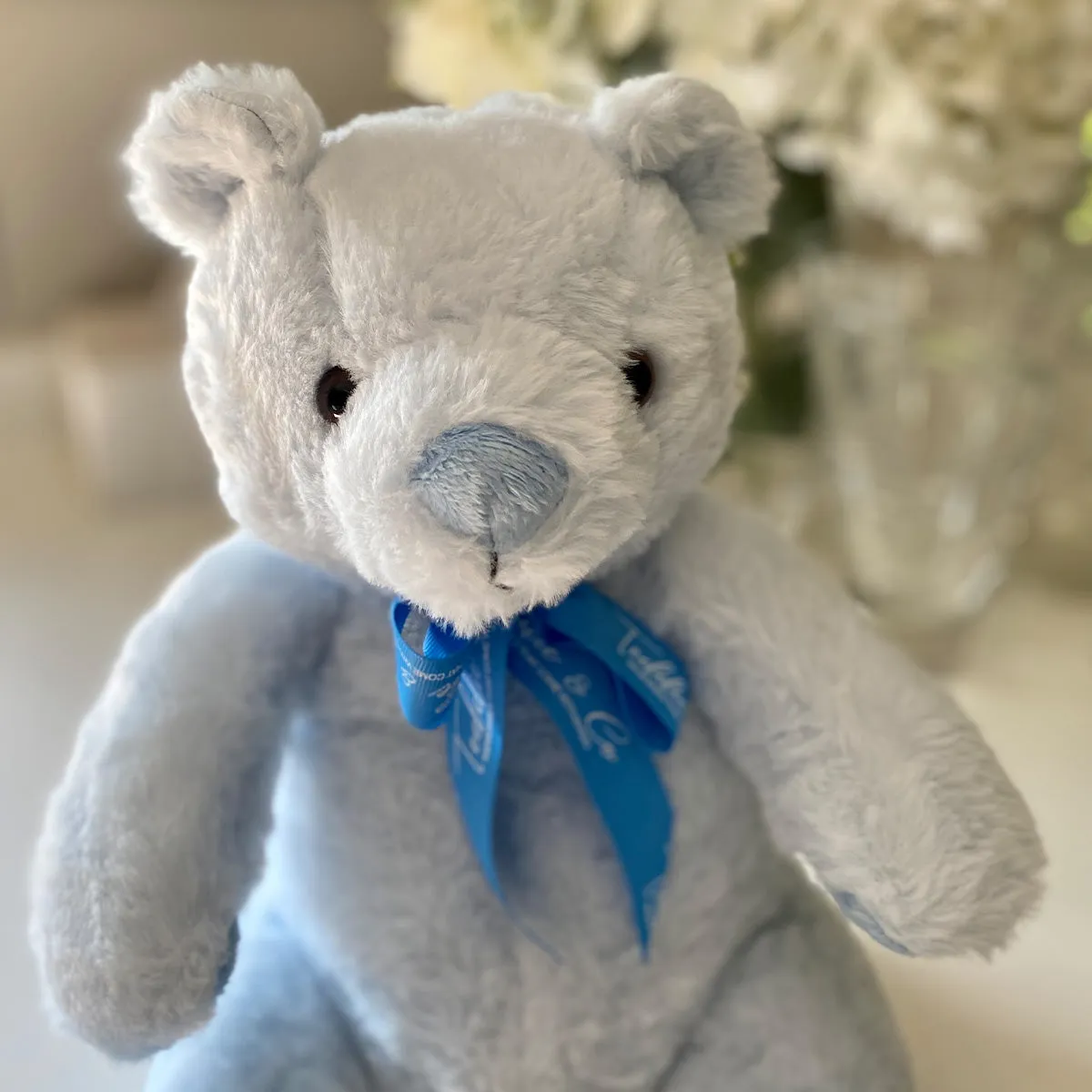 Record-A-Voice Blue Teddy Bear