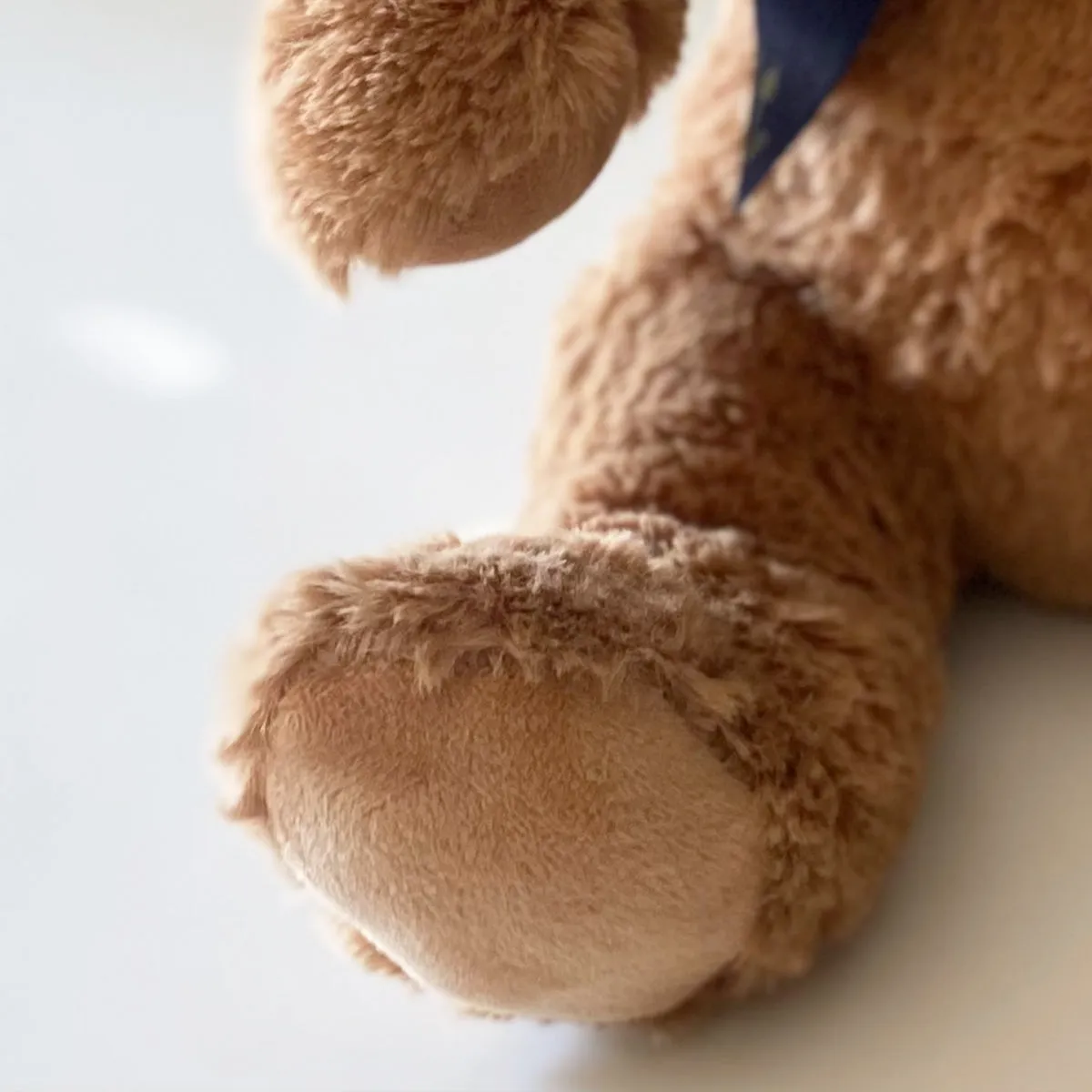 Record-A-Voice Brown Teddy Bear