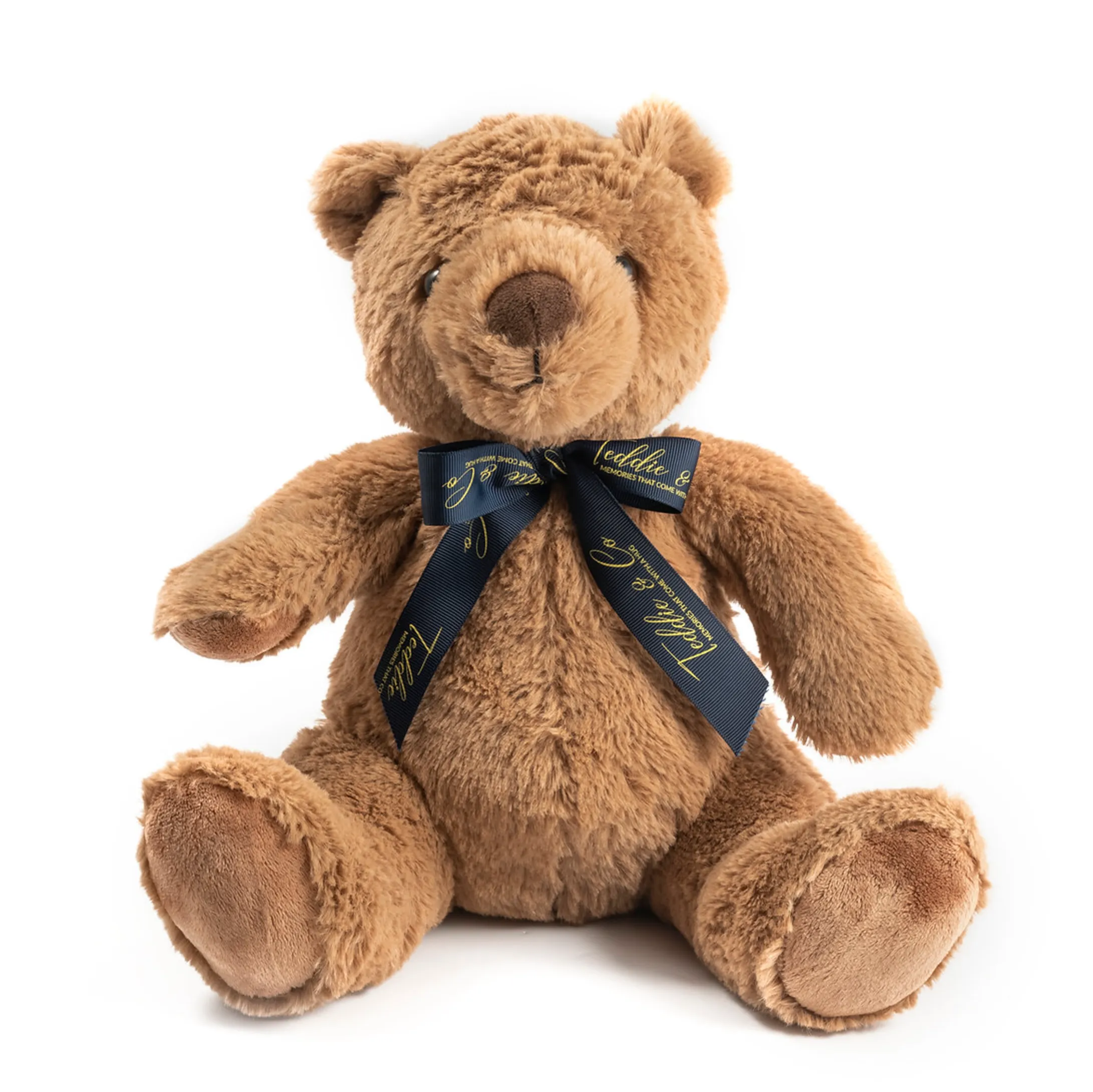 Record-A-Voice Brown Teddy Bear