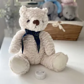 Record-A-Voice Teddy Bear