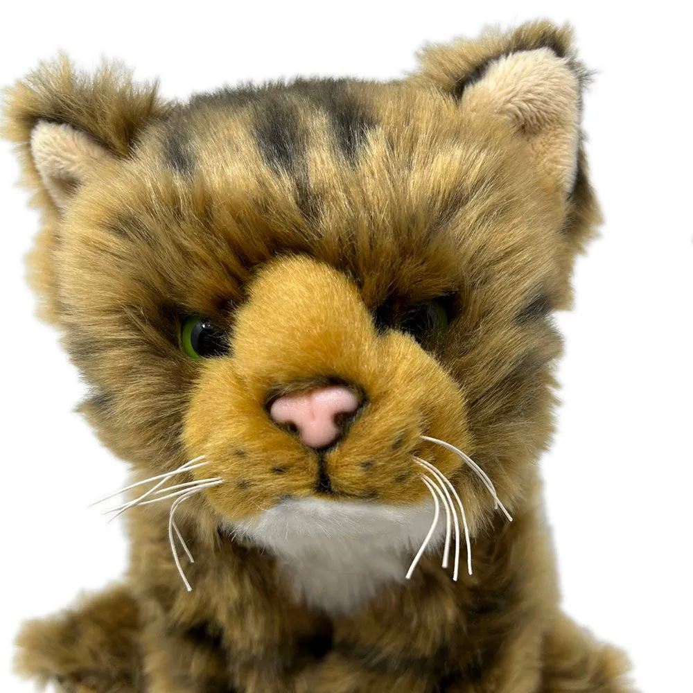 RZSS Scottish Wildcat Kitten Soft Toy - Plan L