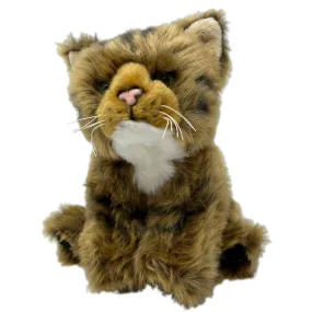 RZSS Scottish Wildcat Kitten Soft Toy - Plan L
