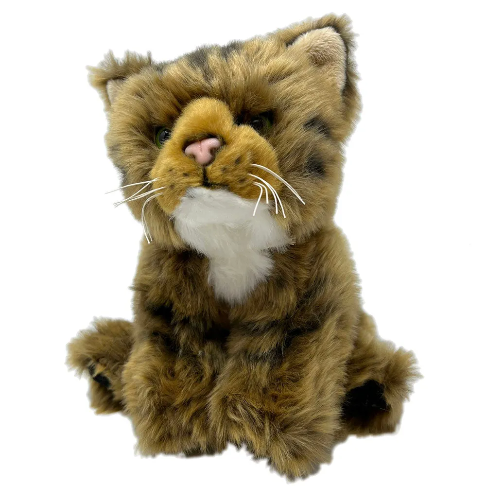 RZSS Scottish Wildcat Kitten Soft Toy - Plan L