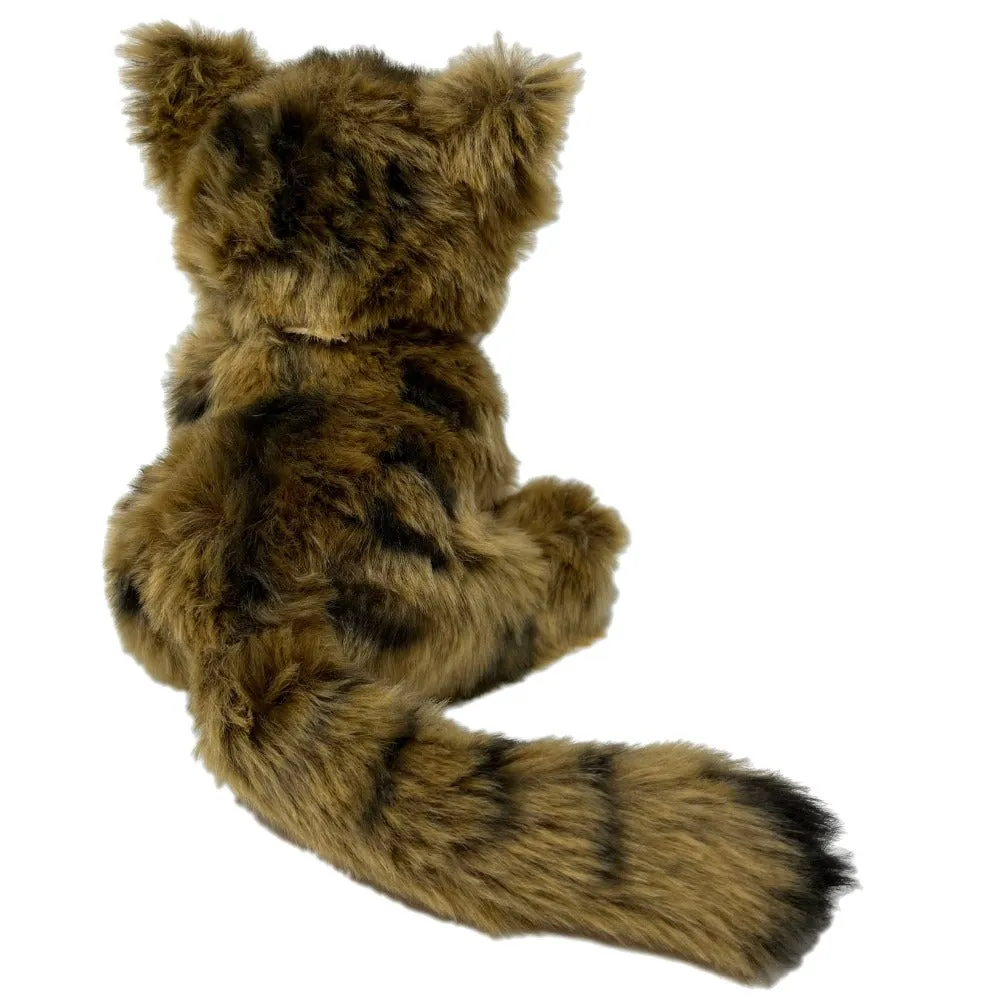 RZSS Scottish Wildcat Kitten Soft Toy - Plan L