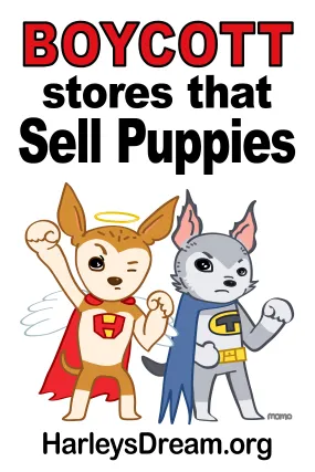 Stickers (50 pack) - Boycott Stores That Sell Puppies