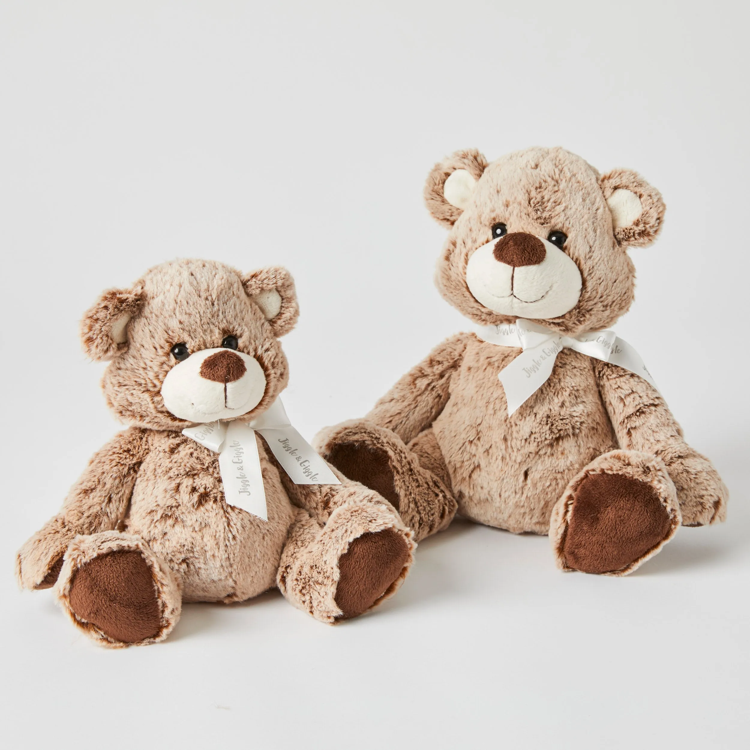 The Teddy Family Set Of 2