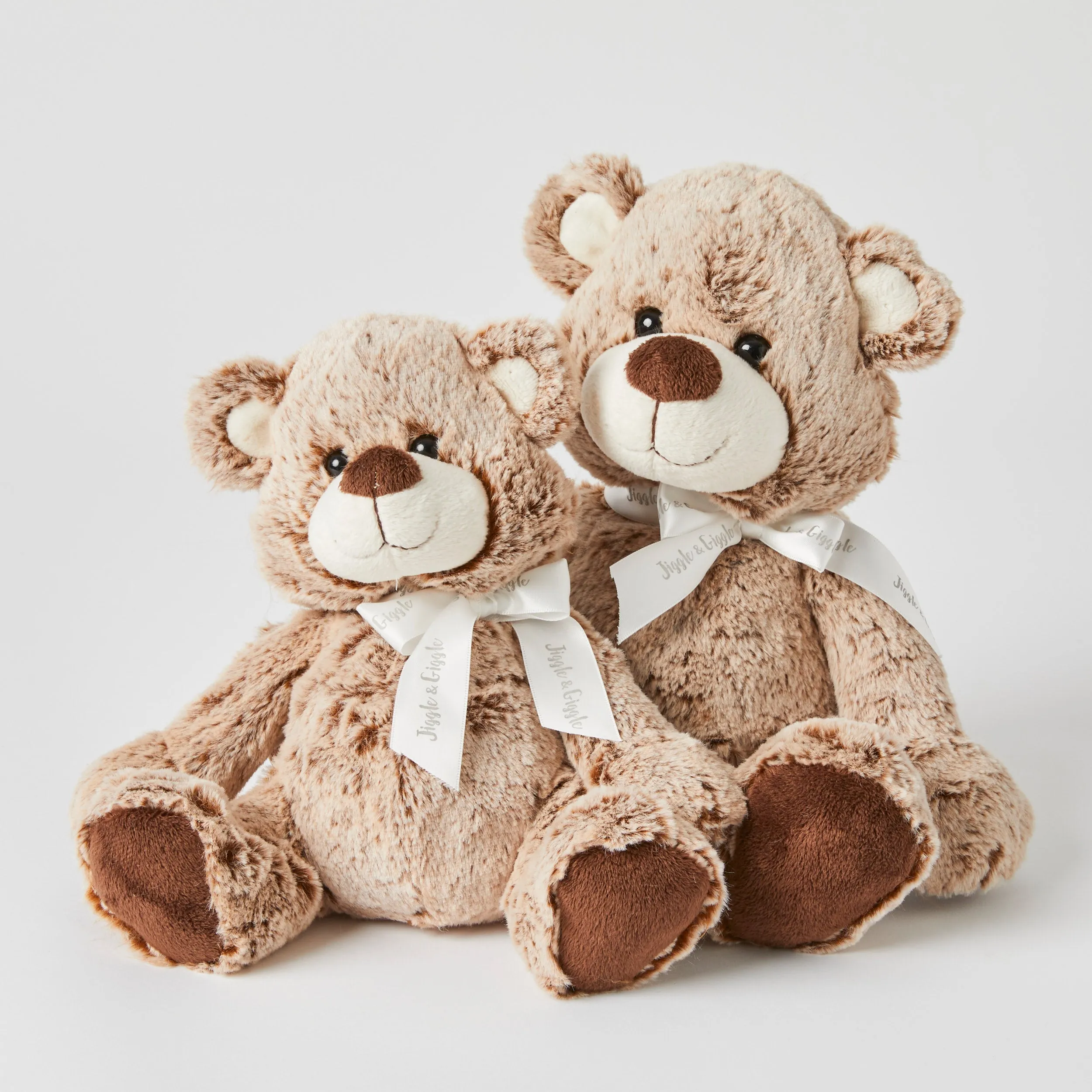 The Teddy Family Set Of 2