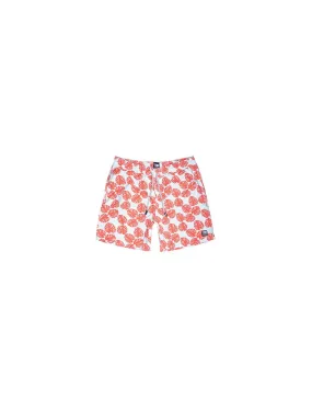 TOM AND TEDDY Sky Blue & Red Leaves Boy's Swim Shorts Sky