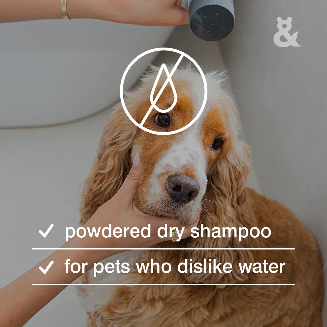 Water Free Wash